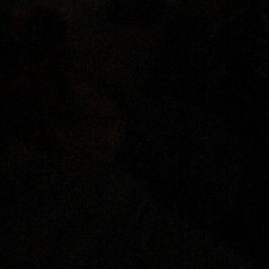 Meet your Posher, Armando